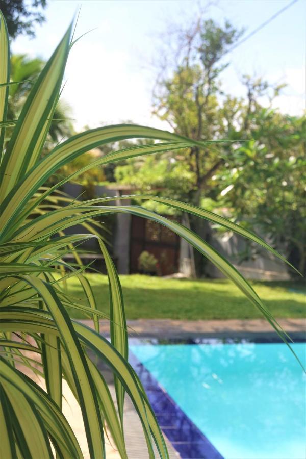 Blue Water Hikkaduwa Villa Ngoại thất bức ảnh